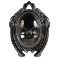Consumed Reaper Amulet